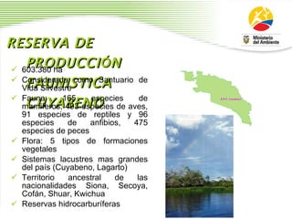 RESERVA DE PRODUCCI Ó N FAUNISTICA CUYABENO   603.380 ha  Considerada como Santuario de Vida Silvestre Fauna: 165 especies de mam í feros, 493 especies de aves, 91 especies de reptiles y 96 especies de anfibios, 475 especies de peces  Flora: 5 tipos de formaciones vegetales Sistemas lacustres mas grandes del pa í s (Cuyabeno, Lagarto) Territorio ancestral de las nacionalidades Siona, Secoya, Cof á n, Shuar, Kwichua Reservas hidrocarbur í feras 