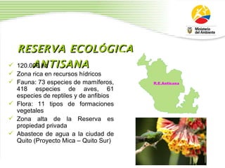RESERVA ECOL Ó GICA ANTISANA 120.000 ha  Zona rica en recursos h í dricos Fauna: 73 especies de mam í feros, 418 especies de aves, 61 especies de reptiles y de anfibios  Flora: 11 tipos de formaciones vegetales Zona alta de la Reserva es propiedad privada  Abastece de agua a la ciudad de Quito (Proyecto Mica  –  Quito Sur) 
