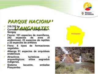 PARQUE NACIONAL LLANGANATES 219.707 ha  Corredor Ecol ó gico Llanganates - Sangay Fauna: 101 especies de mam í feros, 242 especies de aves (5 end é micas), 23 especies de reptiles y 25 especies de anfibios  Flora: 8 tipos de formaciones vegetales. Alberga 91 especies de orqu í deas end é micas Atractivos tur í sticos y arqueol ó gicos: sitios sagrados ind í genas. Sistema lacustre, embalse Pisayambo  