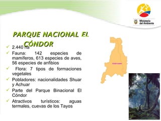 PARQUE NACIONAL EL C Ó NDOR 2.440 ha  Fauna: 142 especies de mam í feros, 613 especies de aves, 56 especies de anfibios Flora: 7 tipos de formaciones vegetales Pobladores: nacionalidades Shuar y Achuar Parte del Parque Binacional El C ó ndor  Atractivos tur í sticos: aguas termales, cuevas de los Tayos 