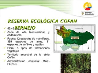 RESERVA ECOL Ó GICA COFAN BERMEJO 55.451 ha  Zona de alta biodiversidad y endemismo Fauna: 42 especies de mam í feros, 399 especies de aves, 31 especies de anfibios y reptiles Flora: 5 tipos de formaciones vegetales Territorio ancestral de la etnia Cof á n  Administraci ó n conjunta: MAE- FEINCE 
