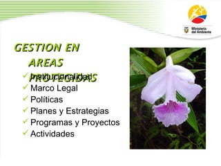 GESTION EN AREAS PROTEGIDAS   Institucionalidad Marco Legal Pol í ticas Planes y Estrategias Programas y Proyectos Actividades 