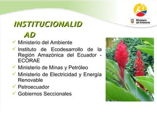 INSTITUCIONALIDAD Ministerio del Ambiente Instituto de Ecodesarrollo de la Regi ó n Amaz ó nica del Ecuador - ECORAE Ministerio de Minas y Petr ó leo  Ministerio de Electricidad y Energ í a Renovable  Petroecuador  Gobiernos Seccionales   