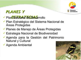 PLANES Y ESTRATEGIAS Plan Nacional de Desarrollo Plan Estrat é gico del Sistema Nacional de  Á reas Protegidas  Planes de Manejo de  Á reas Protegidas Estrategia Nacional de Biodiversidad Agenda para la Gesti ó n del Patrimonio Natural y Cultural Agenda Ambiental 