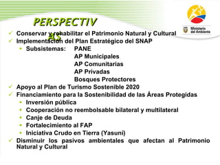 PERSPECTIVAS Conservar y rehabilitar el Patrimonio Natural y Cultural  Implementaci ó n del Plan Estrat é gico del SNAP Subsistemas:  PANE AP Municipales AP Comunitarias AP Privadas Bosques Protectores Apoyo al Plan de Turismo Sostenible 2020  Financiamiento para la Sostenibilidad de las  Á reas Protegidas Inversi ó n p ú blica  Cooperaci ó n no reembolsable bilateral y multilateral  Canje de Deuda Fortalecimiento al FAP Iniciativa Crudo en Tierra (Yasun í ) Disminuir los pasivos ambientales que afectan al Patrimonio Natural y Cultural 