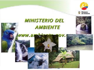 MINISTERIO DEL AMBIENTE www.ambiente.gov.ec 