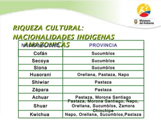 RIQUEZA CULTURAL:  NACIONALIDADES INDIGENAS AMAZONICAS  NACIONALIDAD PROVINCIA Cofán Sucumbíos Secoya Sucumbíos Siona Sucumbíos Huaorani Orellana, Pastaza, Napo Shiwiar Pastaza Zápara Pastaza Achuar Pastaza, Morona Santiago Shuar Pastaza, Morona Santiago, Napo, Orellana, Sucumbíos, Zamora Chinchipe Kwichua  Napo, Orellana, Sucumbíos,Pastaza 