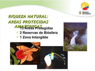 RIQUEZA NATURAL:  AREAS PROTEGIDAS   AMAZONICAS 13  Á reas Protegidas 2 Reservas de Bi ó sfera 1 Zona Intangible 