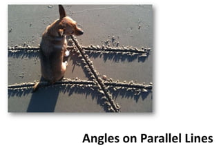 Angles on Parallel Lines 