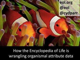 eol.org
@eol
@cydparr
How the Encyclopedia of Life is
wrangling organismal attribute data
 