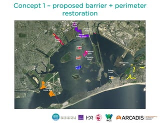 Concept 1 – proposed barrier + perimeter
restoration
 