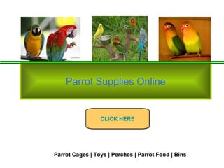 Parrot Supplies Online Parrot Cages | Toys | Perches | Parrot Food | Bins CLICK HERE 