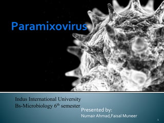 1
Presented by:
Numair Ahmad,Faisal Muneer
Indus International University
Bs-Microbiology 6th
semester
 