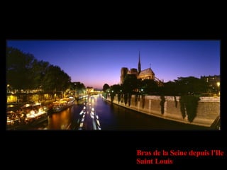 Bras de la Seine depuis l'Ile Saint Louis 