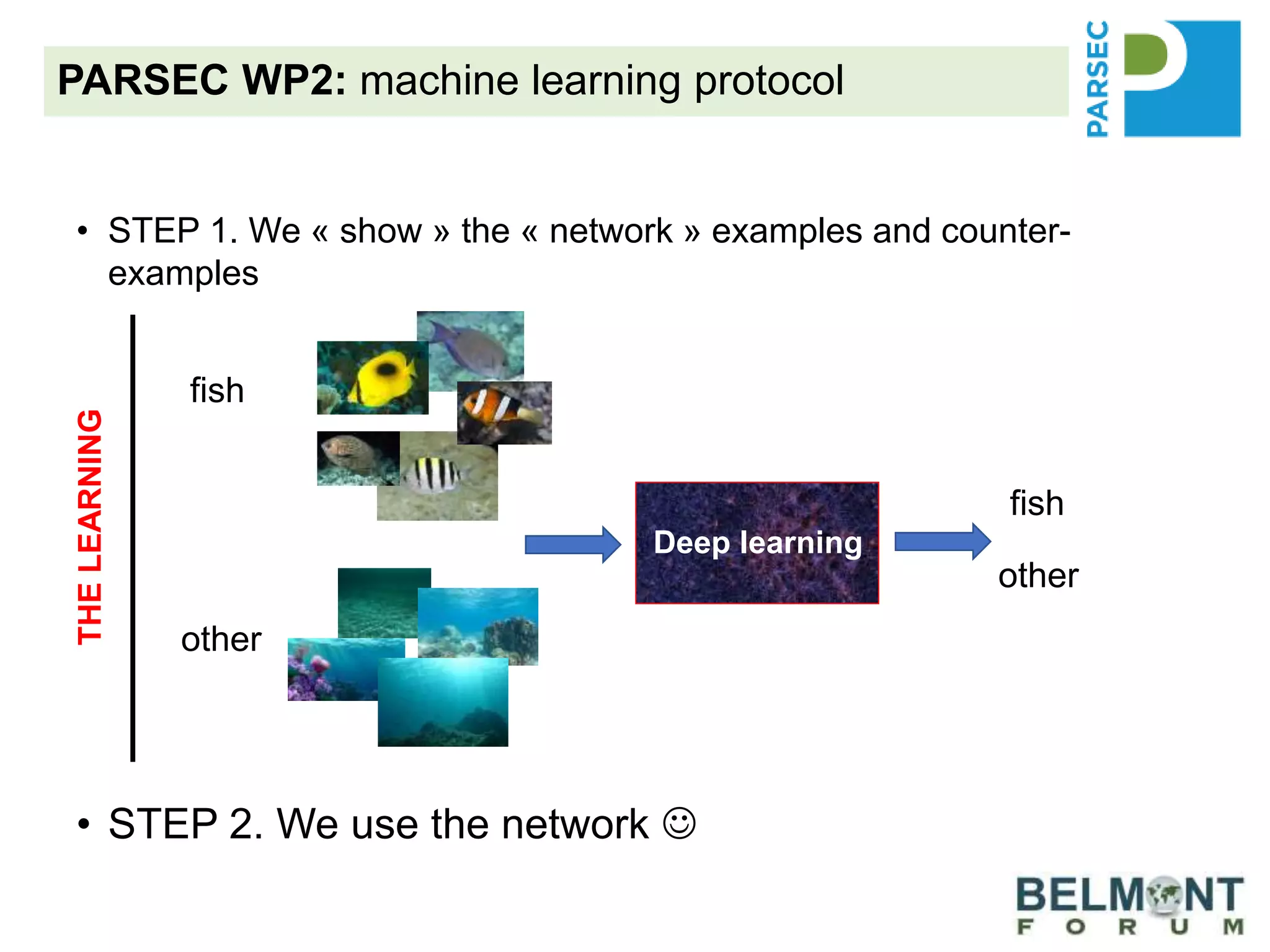 PARSEC WP2: machine learning protocol
• STEP 1. We « show » the « network » examples and counter-
examples
• STEP 2. We use the network 
Deep learning
fish
other
fish
other
THELEARNING
 