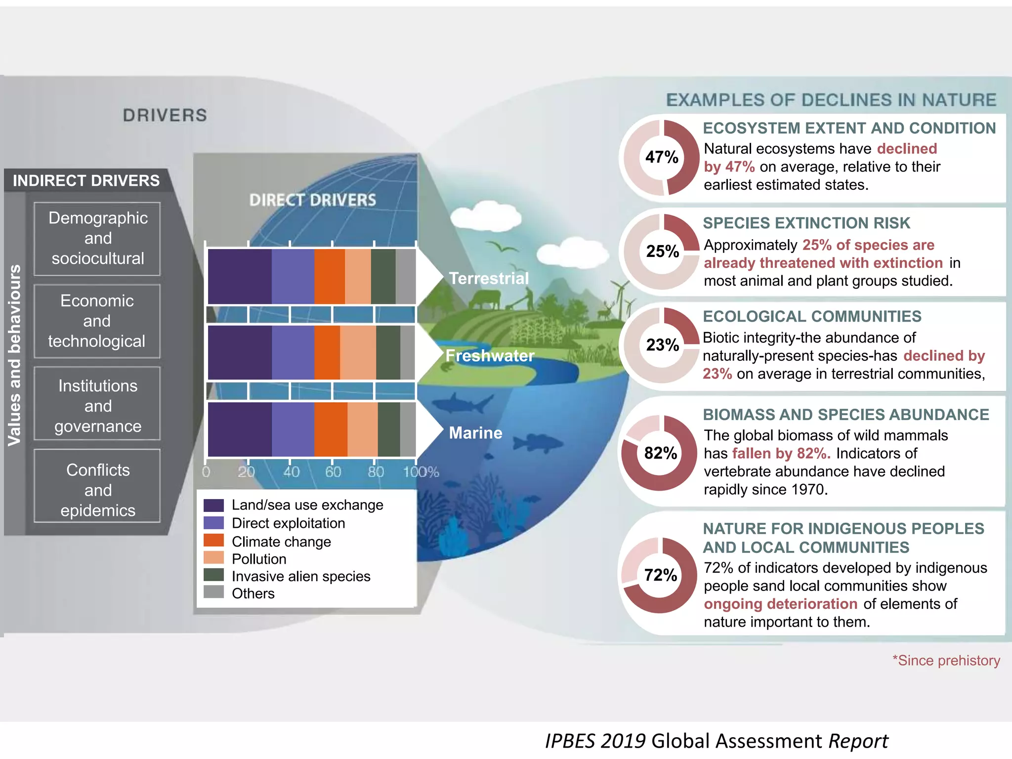 IPBES 2019 Global Assessment Report
Demographic
and
sociocultural
Economic
and
technological
Institutions
and
governance
Conflicts
and
epidemics
Natural ecosystems have declined
by 47% on average, relative to their
earliest estimated states.
Approximately 25% of species are
already threatened with extinction in
most animal and plant groups studied.
Biotic integrity-the abundance of
naturally-present species-has declined by
23% on average in terrestrial communities,
*Since prehistory
Terrestrial
INDIRECT DRIVERS
ECOSYSTEM EXTENT AND CONDITION
SPECIES EXTINCTION RISK
ECOLOGICAL COMMUNITIES
BIOMASS AND SPECIES ABUNDANCE
NATURE FOR INDIGENOUS PEOPLES
AND LOCAL COMMUNITIES
Freshwater
Marine
Direct exploitation
Land/sea use exchange
Climate change
Pollution
Invasive alien species
Others
The global biomass of wild mammals
has fallen by 82%. Indicators of
vertebrate abundance have declined
rapidly since 1970.
72% of indicators developed by indigenous
people sand local communities show
ongoing deterioration of elements of
nature important to them.
47%
25%
23%
82%
72%
Valuesandbehaviours
 