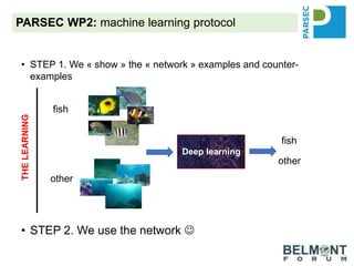 PARSEC WP2: machine learning protocol
• STEP 1. We « show » the « network » examples and counter-
examples
• STEP 2. We use the network 
Deep learning
fish
other
fish
other
THELEARNING
 