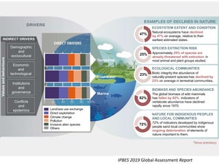 IPBES 2019 Global Assessment Report
Demographic
and
sociocultural
Economic
and
technological
Institutions
and
governance
Conflicts
and
epidemics
Natural ecosystems have declined
by 47% on average, relative to their
earliest estimated states.
Approximately 25% of species are
already threatened with extinction in
most animal and plant groups studied.
Biotic integrity-the abundance of
naturally-present species-has declined by
23% on average in terrestrial communities,
*Since prehistory
Terrestrial
INDIRECT DRIVERS
ECOSYSTEM EXTENT AND CONDITION
SPECIES EXTINCTION RISK
ECOLOGICAL COMMUNITIES
BIOMASS AND SPECIES ABUNDANCE
NATURE FOR INDIGENOUS PEOPLES
AND LOCAL COMMUNITIES
Freshwater
Marine
Direct exploitation
Land/sea use exchange
Climate change
Pollution
Invasive alien species
Others
The global biomass of wild mammals
has fallen by 82%. Indicators of
vertebrate abundance have declined
rapidly since 1970.
72% of indicators developed by indigenous
people sand local communities show
ongoing deterioration of elements of
nature important to them.
47%
25%
23%
82%
72%
Valuesandbehaviours
 