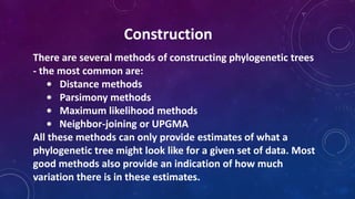 There are several methods of constructing phylogenetic trees
- the most common are:
• Distance methods
• Parsimony methods
• Maximum likelihood methods
• Neighbor-joining or UPGMA
All these methods can only provide estimates of what a
phylogenetic tree might look like for a given set of data. Most
good methods also provide an indication of how much
variation there is in these estimates.
Construction
 