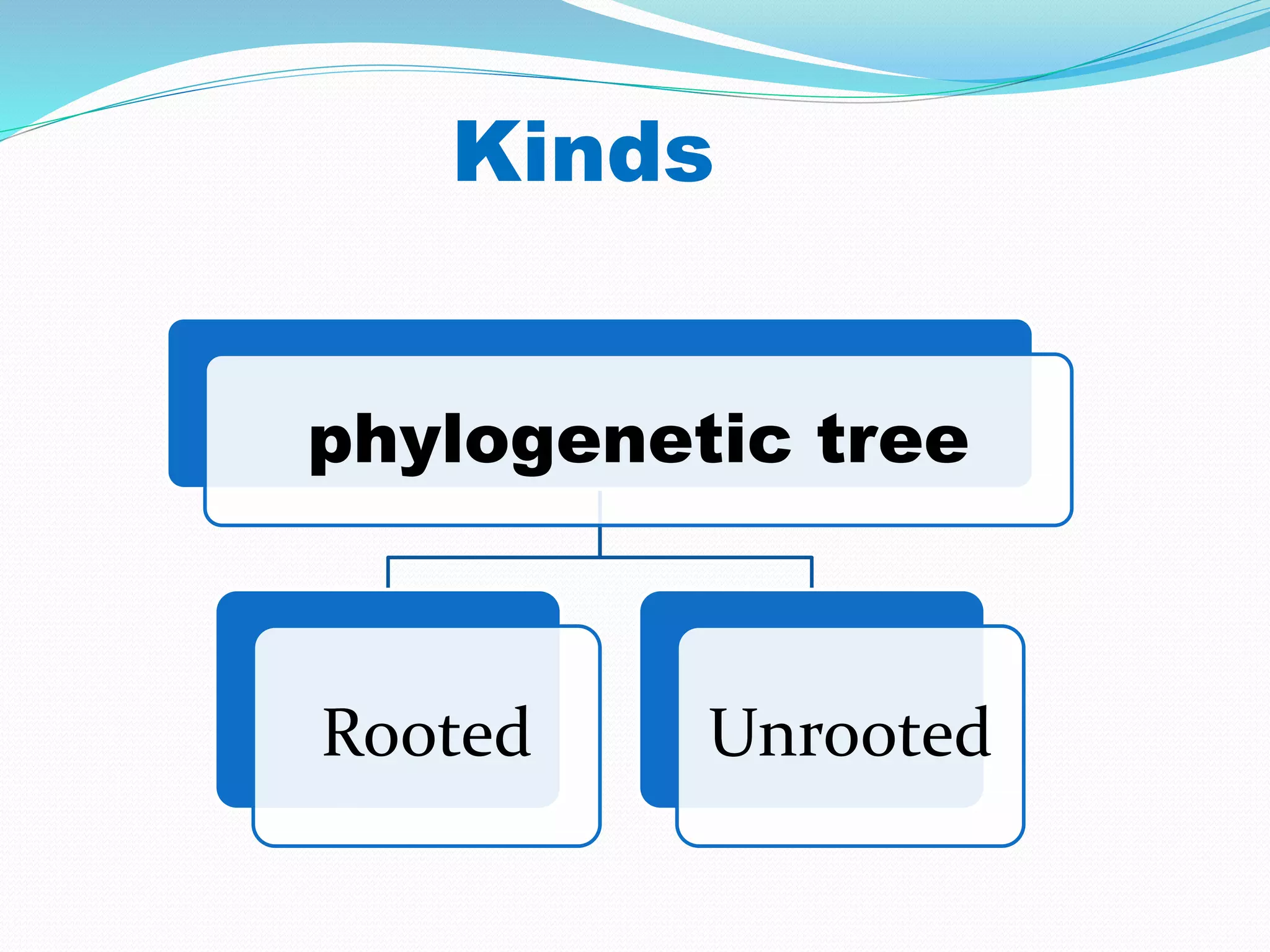 phylogenetic tree
Rooted Unrooted
Kinds
 