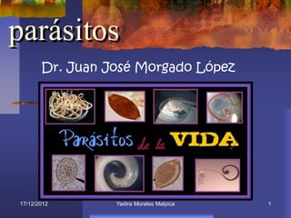 parásitos
       Dr. Juan José Morgado López




17/12/2012       Yadira Morales Malpica   1
 