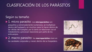 CLASIFICACIÓN DE LOS PARÁSITOS
Según su tamaño
 1. micro parasito: Los microparásitos son
pequeños y extremadamente numerosos, se multiplican
dentro del huésped y en muchos casos lo hacen dentro de
las células del huésped, por lo tanto se relacionan con el
metabolismo y provocan reacciones por parte de los
anticuerpos.
 2. macro parasito: los macroparásitos viven en
las cavidades corporales y crecen dentro de su hospedero.
 