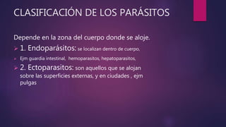 CLASIFICACIÓN DE LOS PARÁSITOS
Depende en la zona del cuerpo donde se aloje.
 1. Endoparásitos: se localizan dentro de cuerpo,
 Ejm guardia intestinal, hemoparasitos, hepatoparasitos,
 2. Ectoparasitos: son aquellos que se alojan
sobre las superficies externas, y en ciudades , ejm
pulgas
 