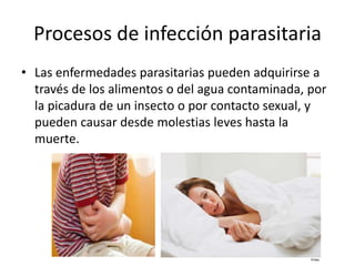 Procesos de infección parasitaria
• Las enfermedades parasitarias pueden adquirirse a
través de los alimentos o del agua contaminada, por
la picadura de un insecto o por contacto sexual, y
pueden causar desde molestias leves hasta la
muerte.
 