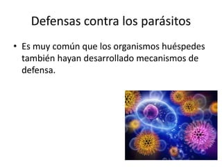 Defensas contra los parásitos
• Es muy común que los organismos huéspedes
también hayan desarrollado mecanismos de
defensa.
 