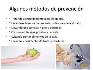 Algunos métodos de prevención
• * Tratando adecuadamente a los afectados.
• * Lavándose bien las manos antes y después de ir al baño.
• * Llevando una correcta higiene personal.
• * Consumiendo agua potable y hervida.
• * Evitando comer alimentos en la calle.
• * Lavando y desinfectando frutas y verduras
 