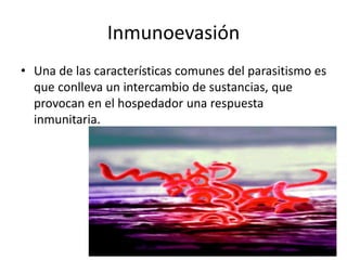 Inmunoevasión
• Una de las características comunes del parasitismo es
que conlleva un intercambio de sustancias, que
provocan en el hospedador una respuesta
inmunitaria.
 