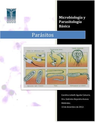 Microbiología y
Parasitología
Básica
Carolina Lizbeth Aguilar Calvario.
Dra. Gabriela Alejandra Aceves
Meléndez.
13 de diciembre de 2012.
Parásitos
 