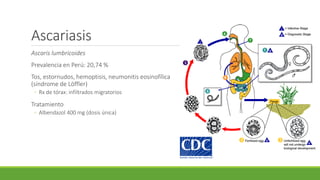 Ascariasis
Ascaris lumbricoides
Prevalencia en Perú: 20,74 %
Tos, estornudos, hemoptisis, neumonitis eosinofílica
(síndrome de Löffler)
◦ Rx de tórax: infiltrados migratorios
Tratamiento
◦ Albendazol 400 mg (dosis única)
 