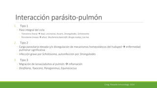 Interacción parásito-pulmón
1. Tipo 1
◦ Paso integral del ciclo
◦ Transitorio (horas  días): uncinarias, Ascaris, Strongyloides, Schistosoma
◦ Persistente (meses  años): Wuchereria bancrofti, Brugia malayi, Loa loa
2. Tipo 2
◦ Carga parasitaria elevada y/o disregulación de mecanismos homeostáticos del huésped  enfermedad
pulmonar significativa
◦ Infección grave por Schistosoma, autoinfección por Strongyloides
3. Tipo 3
◦ Migración de larvas/adultos al pulmón  inflamación
◦ Dirofilaria, Toxocara, Paragonimus, Equinococcus
Craig. Parasite Inmunology. 2014
 