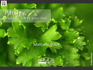 Parsley
Framework MVC pour Flex




               Mathurin BODY

                                           Mathurin BODY




                                                       © dbrowncooks
                  TTFx Breizh User Group               1
 