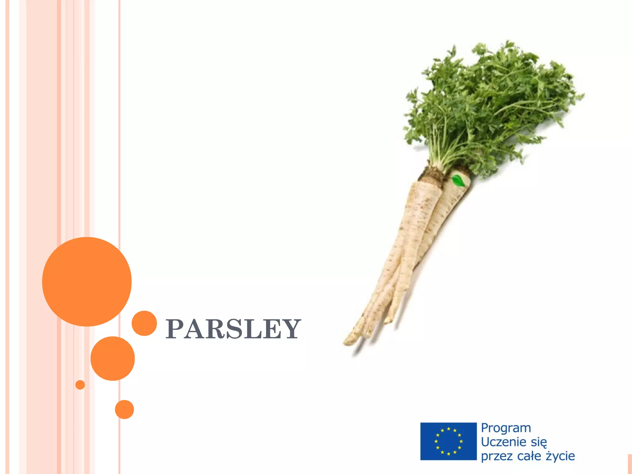 Parsley PPT