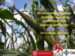 An integrated simulation
                                             model for assessing
                                              smallholder crop-
                                            livestock production

                                              (in Yucatán, Mexico)




David Parsons
           TIAR – research • development • extension • education • training
 