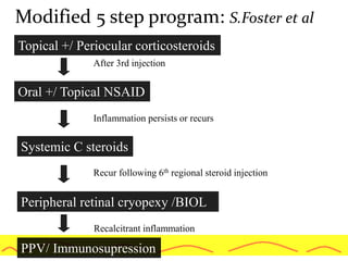 Modified 5 step program: S.Foster et al
Topical +/ Periocular corticosteroids
Oral +/ Topical NSAID
After 3rd injection
Systemic C steroids
Inflammation persists or recurs
Peripheral retinal cryopexy /BIOL
Recur following 6th regional steroid injection
PPV/ Immunosupression
Recalcitrant inflammation
 