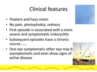 Clinical features
• Floaters and hazy vision
• No pain, photophobia, redness
• First episode is associated with a more
severe and symptomatic iridocyclitis
• Subsequent episodes have a chronic
course…….
• One eye symptomatic other eye may be
asymptomatic and even show signs of
active disease
 