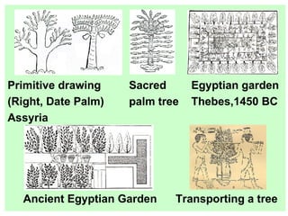 Primitive drawing  Sacred  Egyptian garden (Right, Date Palm)  palm tree  Thebes,1450 BC Assyria Ancient Egyptian Garden  Transporting a tree 