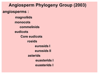 Angiosperm Phylogeny Group (2003) angiosperms :   magnoliids monocots   commelinids   eudicots   Core eudicots   rosids   eurosids I   eurosids II   asterids euasterids I euasterids I 
