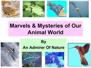 Marvels & Mysteries of Our Animal World By An Admirer Of Nature 