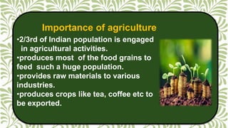 Importance Of Agriculture In India – LSBGB