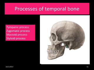 Osteology and radiological anatomy of skull and cervical Bones (Part 1 ...
