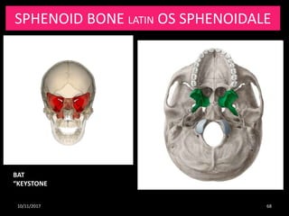 Osteology and radiological anatomy of skull and cervical Bones (Part 1 ...