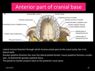 Osteology And Radiological Anatomy Of Skull And Cervical Bones (Part … Osteology And Radiological Anatomy Of Skull And Cervical Bones (Part …
