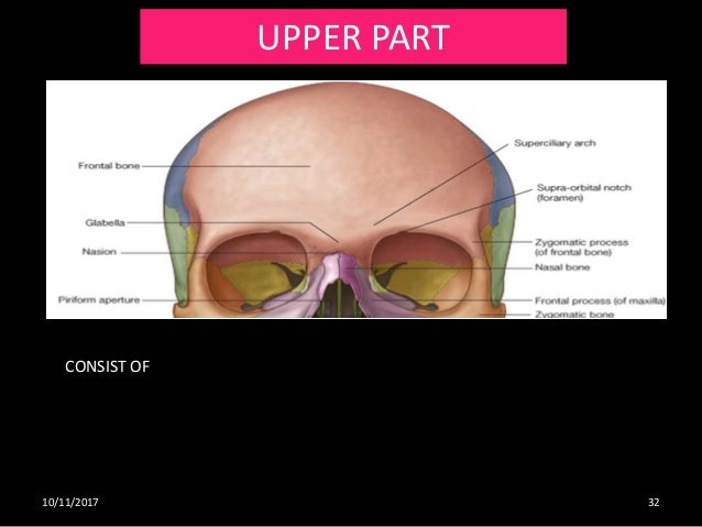 Osteology and radiological anatomy of skull and cervical Bones (Part