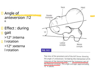 Bio mechanics of lower extremeties part-2.pptx