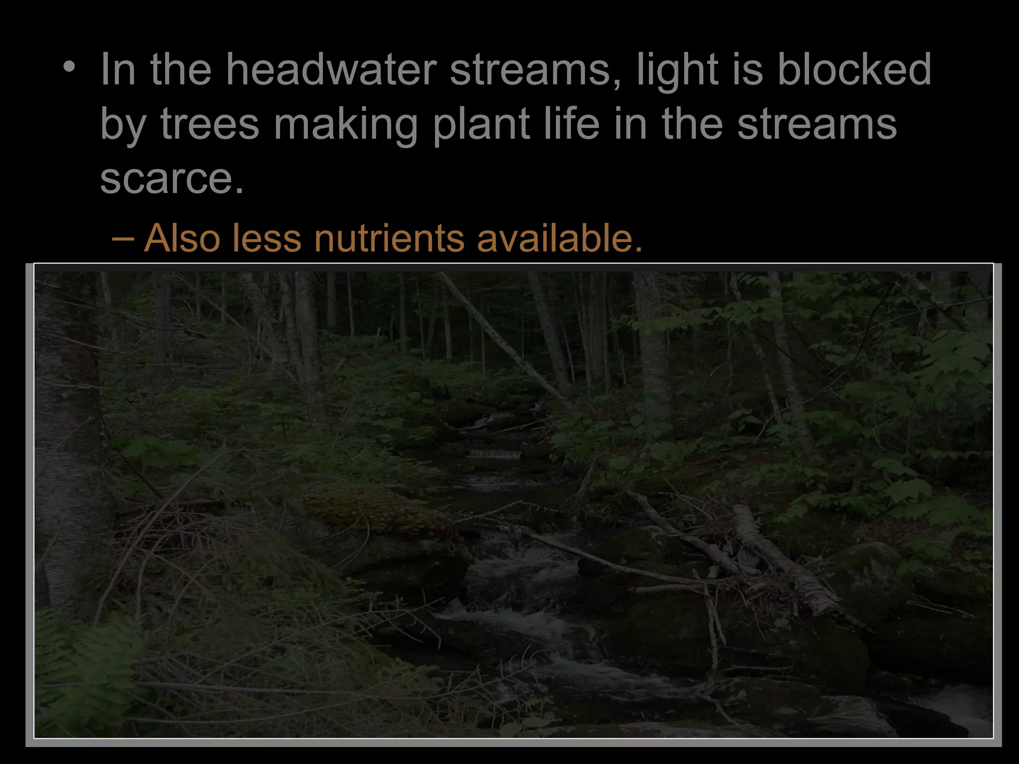 • In the headwater streams, light is blocked
by trees making plant life in the streams
scarce.
– Also less nutrients available.
 