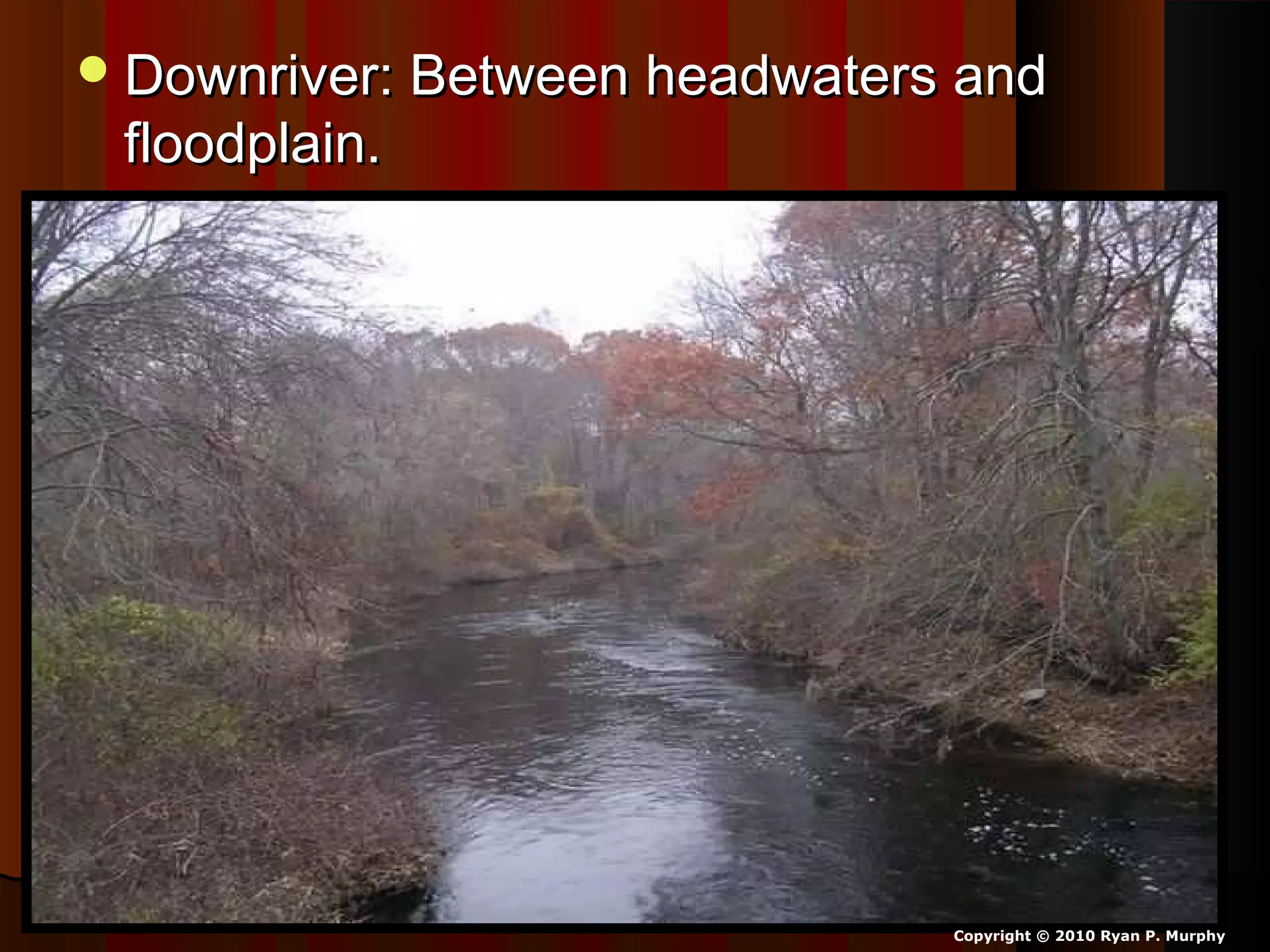 Downriver: Between headwaters andDownriver: Between headwaters and
floodplain.floodplain.
Copyright © 2010 Ryan P. Murphy
 